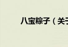 八宝粽子（关于八宝粽子的介绍）