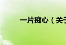 一片痴心（关于一片痴心的介绍）