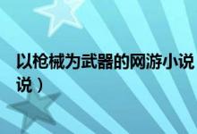 以枪械为武器的网游小说（推荐几部以枪械为武器的网游小说）