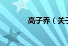 高子乔（关于高子乔的介绍）
