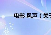电影 风声（关于电影 风声的介绍）