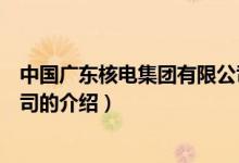 中国广东核电集团有限公司（关于中国广东核电集团有限公司的介绍）