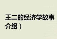 王二的经济学故事（关于王二的经济学故事的介绍）