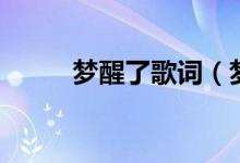 梦醒了歌词（梦醒了歌词是什么）