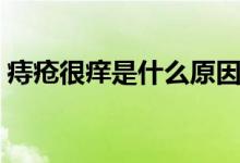 痔疮很痒是什么原因（痔疮很痒是什么原因）