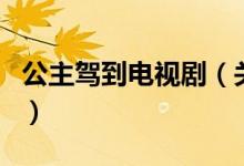 公主驾到电视剧（关于公主驾到电视剧的介绍）