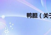 鸭胆（关于鸭胆的介绍）