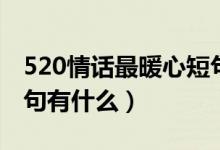 520情话最暖心短句告白（520情话最暖心短句有什么）