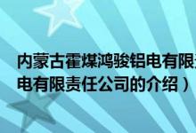 内蒙古霍煤鸿骏铝电有限责任公司（关于内蒙古霍煤鸿骏铝电有限责任公司的介绍）