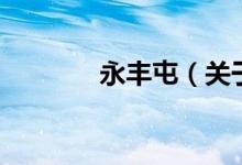 永丰屯（关于永丰屯的介绍）