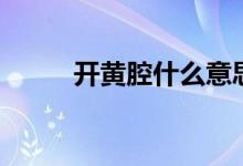 开黄腔什么意思（开黄腔什么梗）