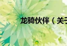 龙骑伙伴（关于龙骑伙伴的介绍）