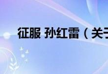 征服 孙红雷（关于征服 孙红雷的介绍）