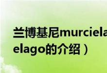 兰博基尼murcielago（关于兰博基尼murcielago的介绍）