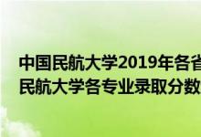 中国民航大学2019年各省各专业录取分数线（2019年中国民航大学各专业录取分数线）