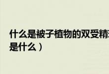 什么是被子植物的双受精现象（被子植物的双受精现象指的是什么）