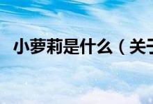 小萝莉是什么（关于小萝莉是什么的介绍）