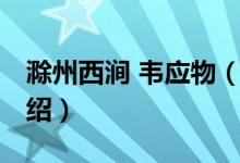 滁州西涧 韦应物（关于滁州西涧 韦应物的介绍）
