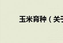 玉米育种（关于玉米育种的介绍）