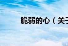 脆弱的心（关于脆弱的心的介绍）