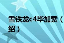 雪铁龙c4毕加索（关于雪铁龙c4毕加索的介绍）