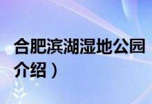 合肥滨湖湿地公园（关于合肥滨湖湿地公园的介绍）