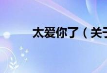 太爱你了（关于太爱你了的介绍）