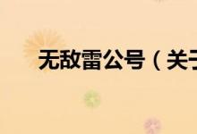 无敌雷公号（关于无敌雷公号的介绍）
