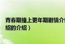 青春期撞上更年期剧情介绍（关于青春期撞上更年期剧情介绍的介绍）