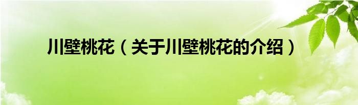 川壁桃花 关于川壁桃花的介绍 教育新闻网
