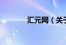 汇元网（关于汇元网的介绍）