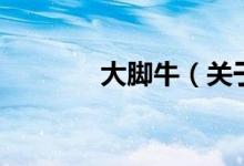 大脚牛（关于大脚牛的介绍）