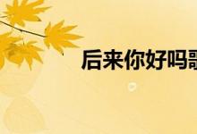 后来你好吗歌词（歌手简介）