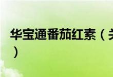 华宝通番茄红素（关于华宝通番茄红素的介绍）