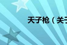 天子枪（关于天子枪的介绍）