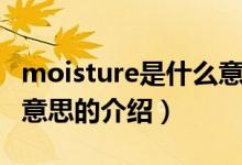 moisture是什么意思（关于moisture是什么意思的介绍）