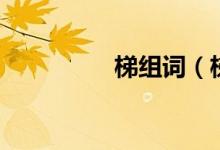 梯组词（梯组词及解释）