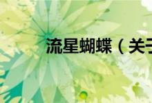 流星蝴蝶（关于流星蝴蝶的介绍）