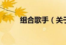 组合歌手（关于组合歌手的介绍）