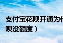 支付宝花呗开通为什么会没有额度（为什么花呗没额度）
