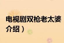 电视剧双枪老太婆（关于电视剧双枪老太婆的介绍）