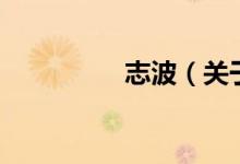 志波（关于志波的介绍）