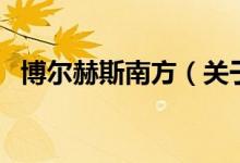 博尔赫斯南方（关于博尔赫斯南方的介绍）