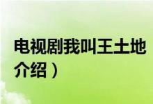 电视剧我叫王土地（关于电视剧我叫王土地的介绍）