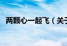 两颗心一起飞（关于两颗心一起飞的介绍）