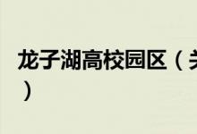 龙子湖高校园区（关于龙子湖高校园区的介绍）
