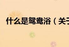 什么是鸳鸯浴（关于什么是鸳鸯浴的介绍）