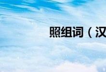 照组词（汉字照怎么组词）