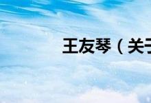 王友琴（关于王友琴的介绍）