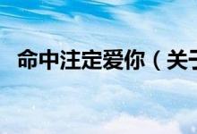 命中注定爱你（关于命中注定爱你的介绍）